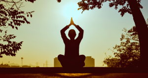 Fitness Expert in Ahmedabad Flow, Stillness & Effortless Movement